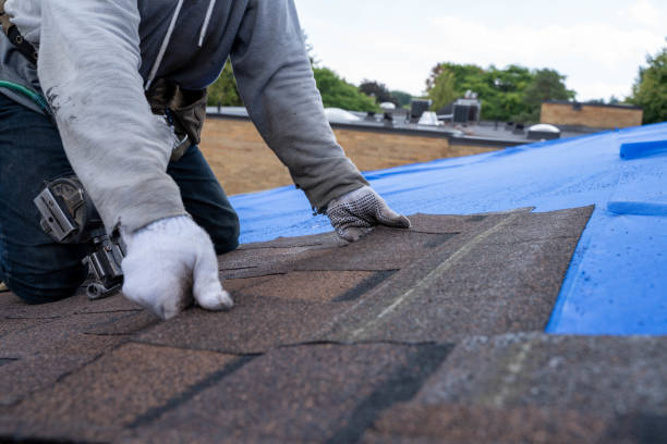 Best Gutter Installation and Roofing  in Grove City, FL