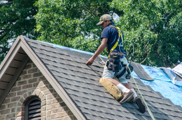 Best Local Roofing Companies  in Grove City, FL